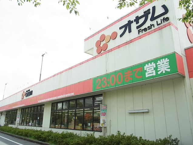 スーパー　スーパーオザム調布多摩川店（スーパー）まで1010m