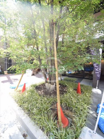その他　パークアクシス大阪新町　植栽