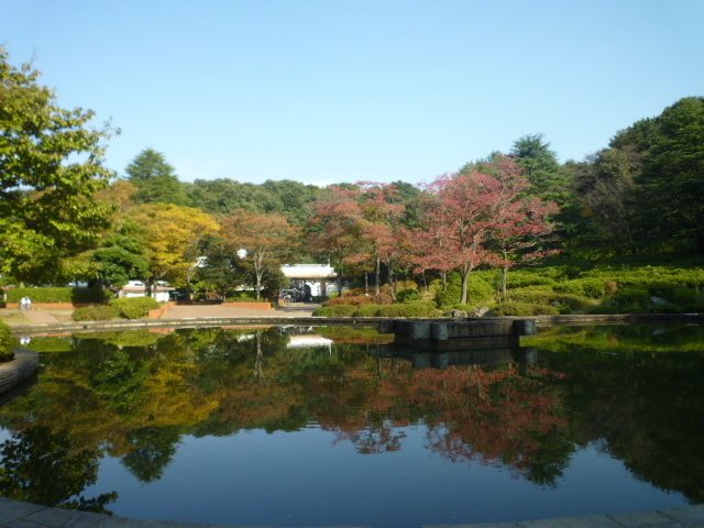 公園　生田緑地（公園）まで480m