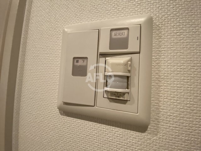 その他設備　ロイヤルパークス桃坂　人感センサーライト