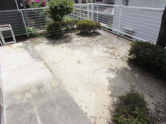 庭