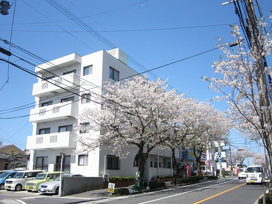 紫桜ハイツの建物外観