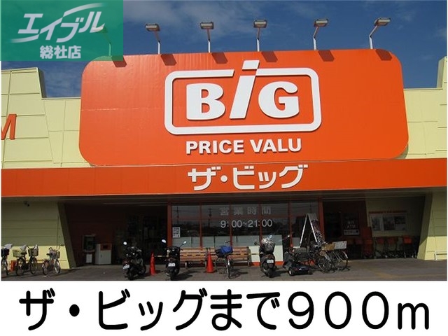 スーパー　ザ・ビッグ（スーパー）まで900m