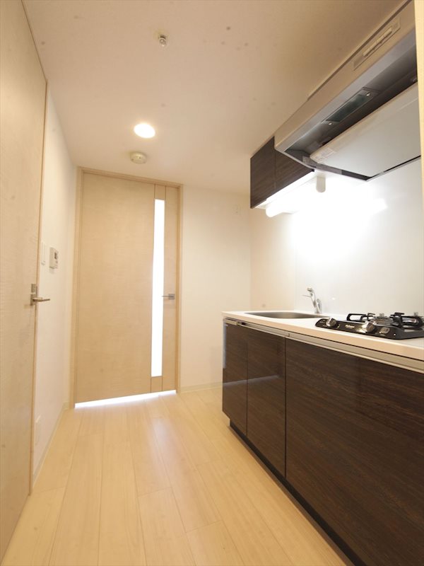 キッチン　システムキッチン（ガス2口コンロ付）収納スペース充実