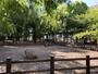 公園　高島平緑地公園（公園）まで1439m