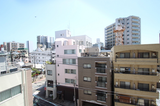 眺望　※別部屋の写真です