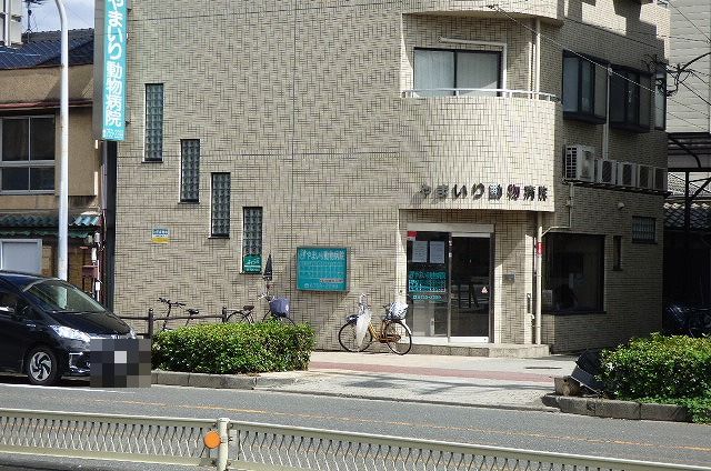 飲食店　やまいり動物病院（飲食店）まで550m