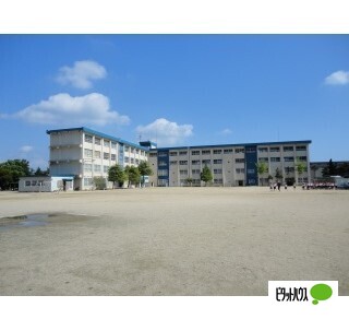 小学校　和歌山市立八幡台小学校（小学校）まで752m