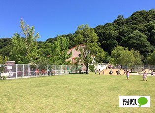 幼稚園・保育園　こひつじこども園（幼稚園・保育園）まで488m