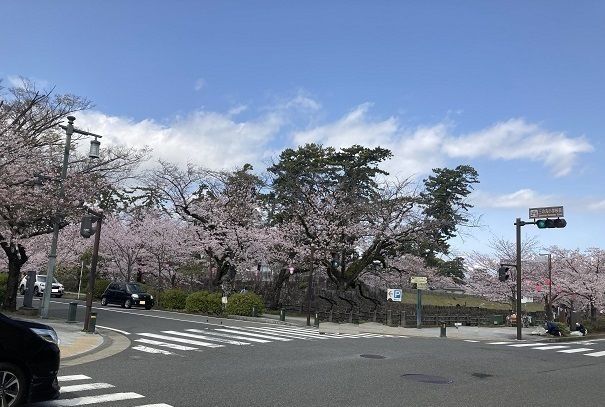 公園　小田原城址公園（公園）まで140m