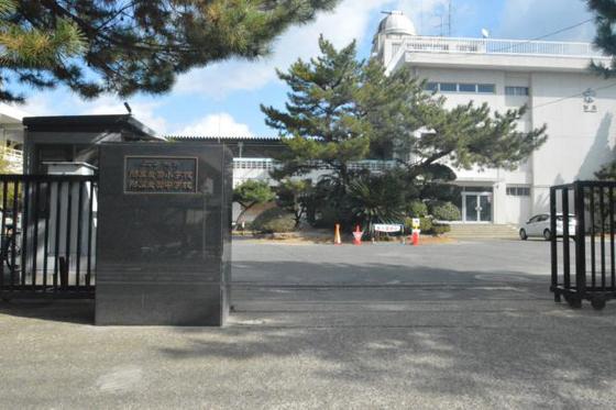 小学校　国立広島大学附属東雲小学校（小学校）まで263m