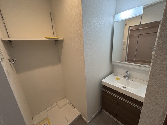 洗面設備　※別号室の写真です