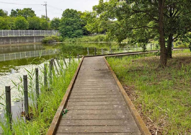 公園　水元公園（公園）まで170m