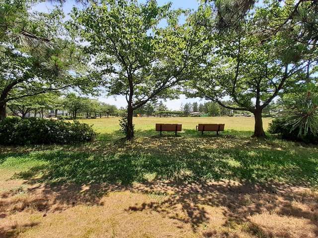 公園　牛海道中央公園（公園）まで170m