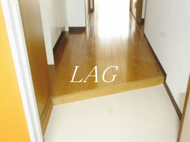 玄関　玄関（同仕様）です。