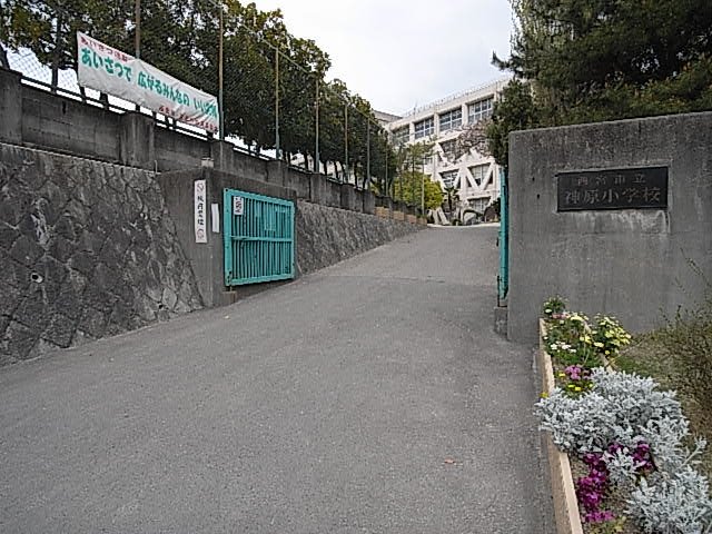小学校　西宮市立神原小学校（小学校）まで628m