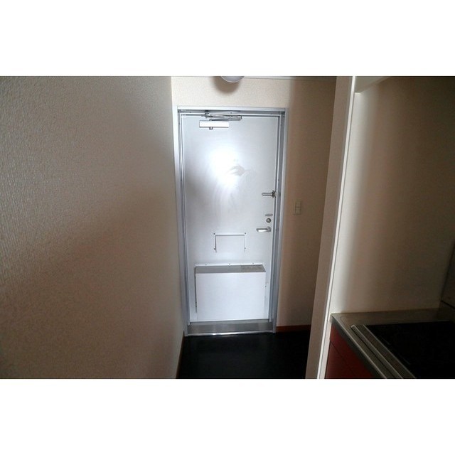 玄関　同型写真です