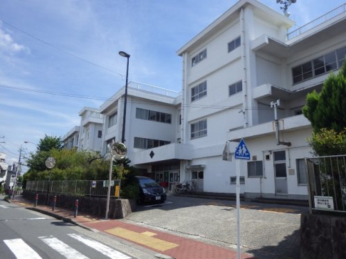 小学校　衣笠小学校（小学校）まで767m