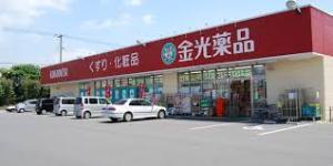 ドラックストア　金光薬品岡北店（ドラッグストア）まで225m