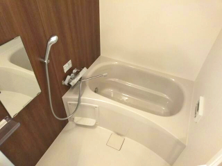 バス・シャワールーム　落ち着いた空間のお風呂です