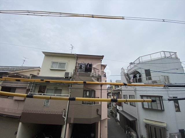 眺望　大山蓮華　眺望