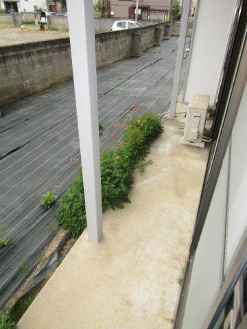 バルコニー　＊テラス