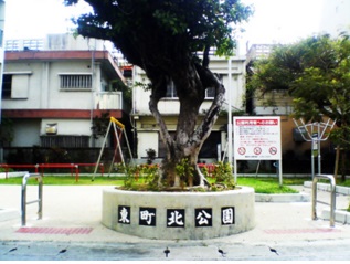 公園　東町北公園（公園）まで206m