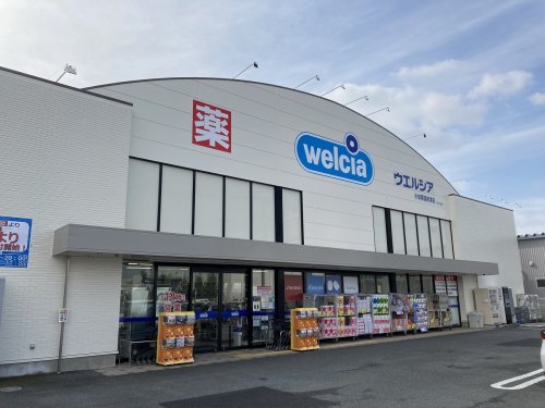 ドラックストア　ウエルシア小田原国府津店（ドラッグストア）まで591m