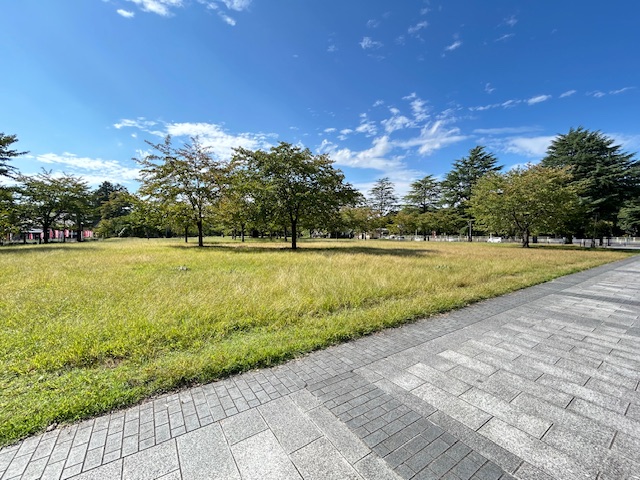 公園　西公園（公園）まで710m