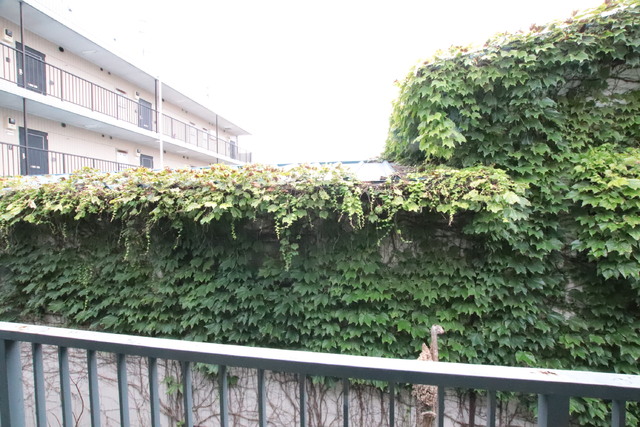 眺望　バルコニーより♪