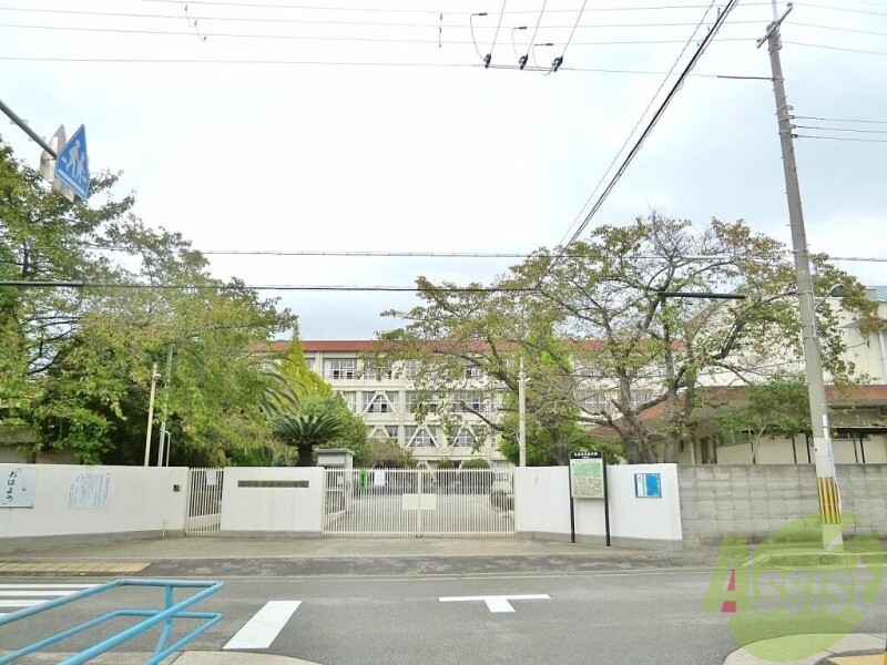 小学校　北条小学校（小学校）まで495m