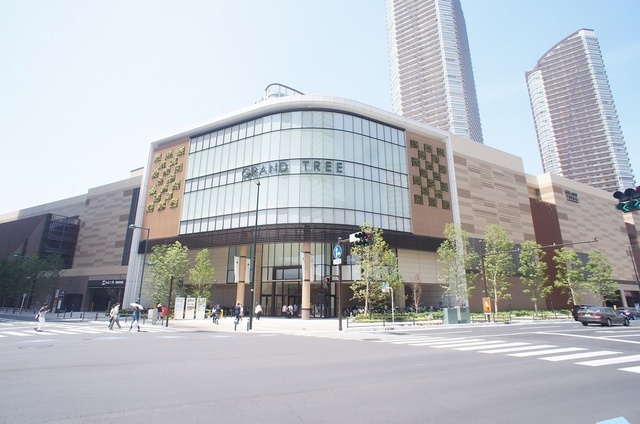 ショッピングセンター　グランツリー武蔵小杉（ショッピングセンター）まで100m