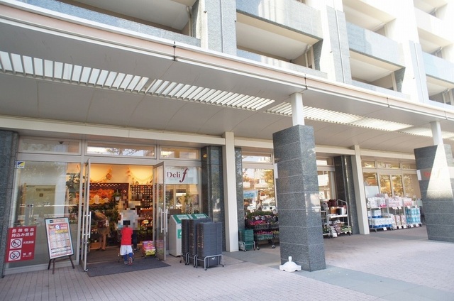 スーパー　デリド武蔵小杉店（スーパー）まで300m