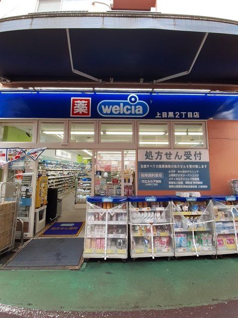 ドラックストア　welcia 上目黒2丁目店（ドラッグストア）まで290m