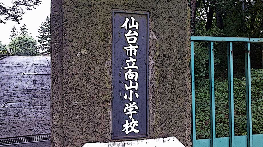 小学校　仙台市立向山小学校（小学校）まで1956m