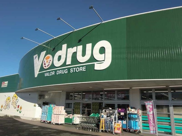 その他　Ｖドラッグ長良真福寺店まで250m