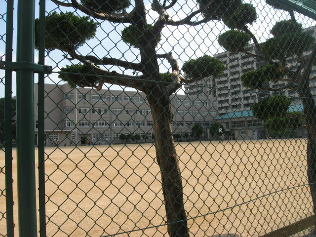 小学校　高槻市立松原小学校（小学校）まで547m
