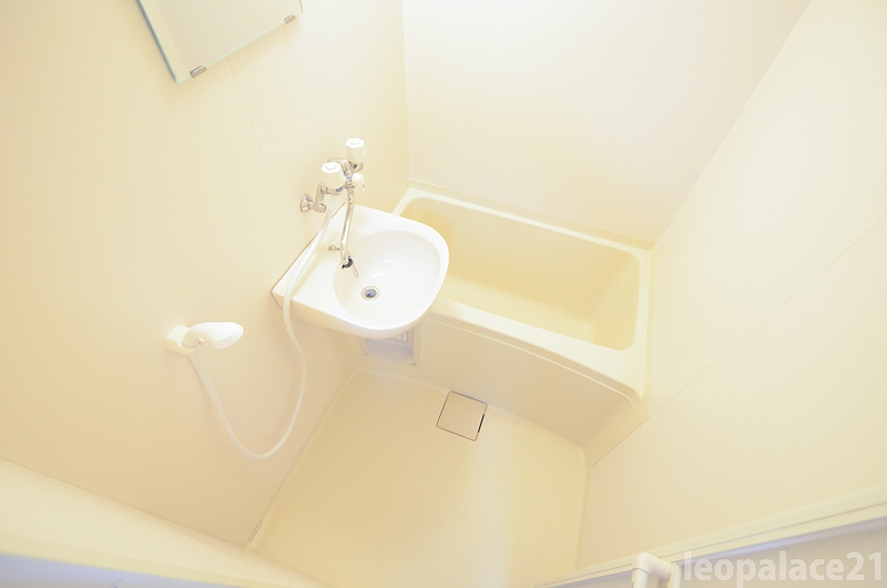 バス・シャワールーム　浴槽スペースです。