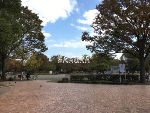 公園　南河原公園（公園）まで204m
