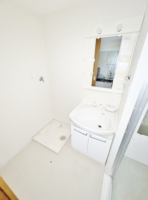 洗面設備　大きな独立洗面台・室内洗濯機置場