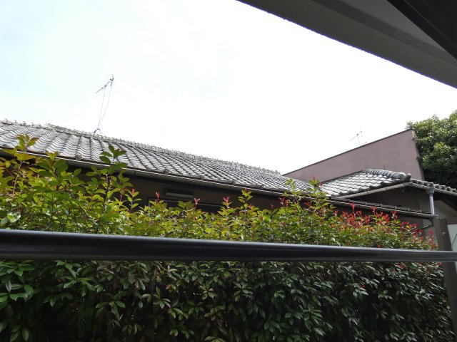 眺望　同仕様・参考写真となります。