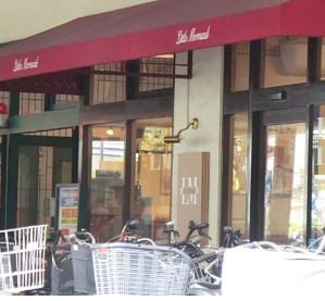 その他　レジディア蒲田II