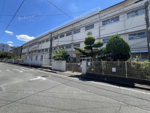小学校　久留米市立荘島小学校（小学校）まで303m