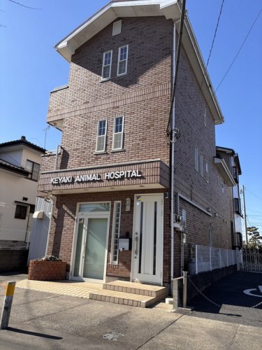 病院　けやき動物病院（病院）まで767m