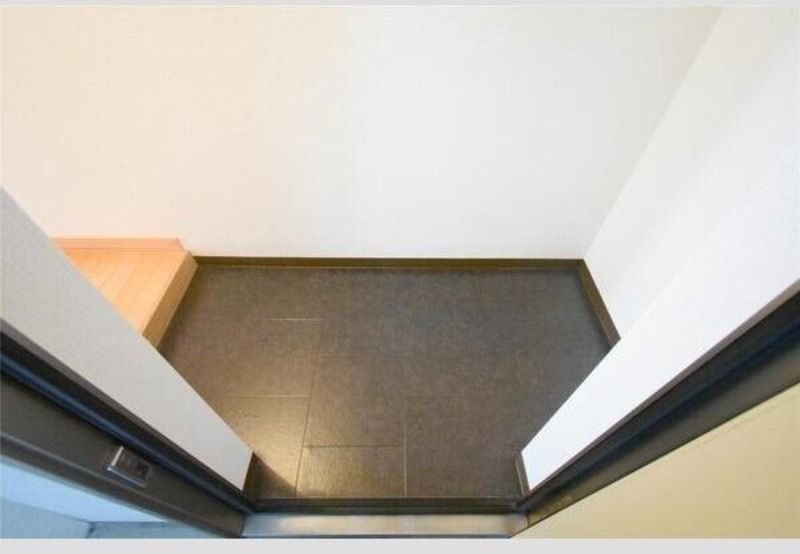 玄関　１号室タイプのお部屋写真となります。