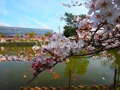 公園　亀城公園（公園）まで976m