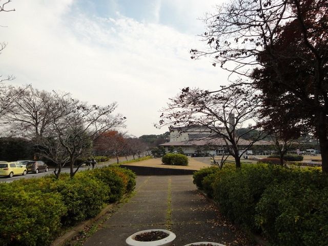 公園　松戸運動公園（公園）まで260m