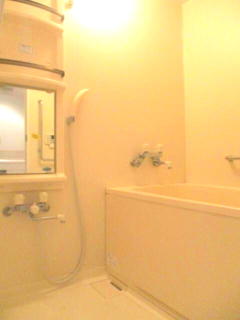 バス・シャワールーム　落ち着いた空間のお風呂です