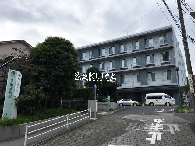 病院　亀田病院（病院）まで331m