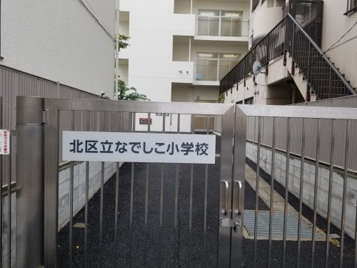 小学校　北区立なでしこ小学校（小学校）まで308m
